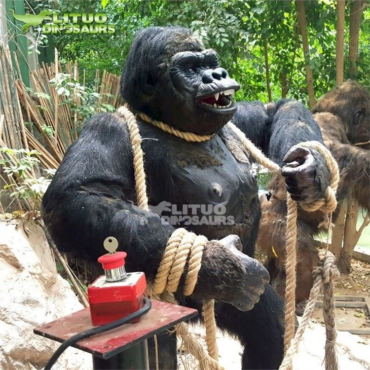 4Animal Gorilla(001)