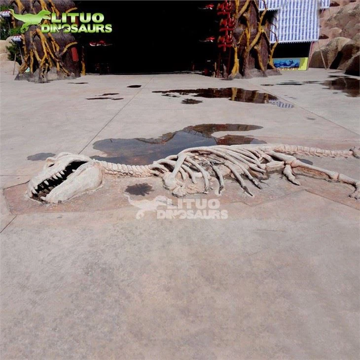 4Rock Dinosaur in(001)